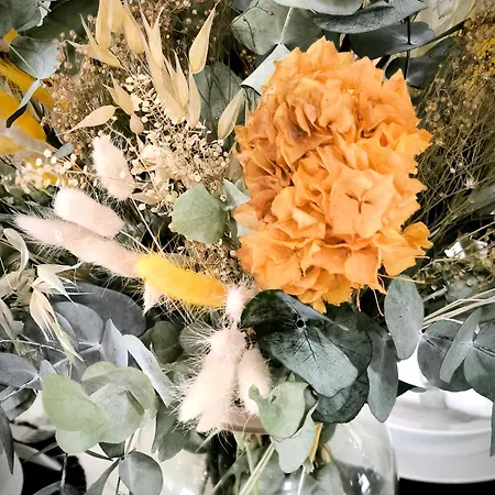 Apartman Ispal Triana *